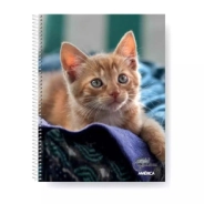CUADERNO A4 ESPIRALADO GATITOS T/F - 80 Hjs Rayadas