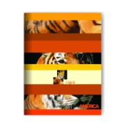 CUADERNO 16x21 T/F AMÉRICA - 48Hjs Rayadas