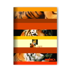 CUADERNO 16x21 T/F AM�RICA - 48Hjs Rayadas