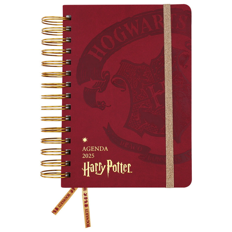 AGENDA 2026 14x20 DIARIA HARRY POTTER MOOVING
