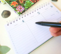 AGENDA POCKET SEMI RÍGIDA FANTASIA ESPIRAL NORPAC