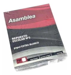 REPUESTO ESCOLAR ASAMBLEA 480Hjs RAYADAS