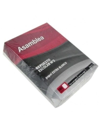 REPUESTO ESCOLAR ASAMBLEA 480Hjs CUADRICULADO