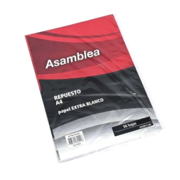 REPUESTO A4 ASAMBLEA 5 PERF. 96Hjs RAYADAS