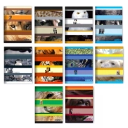 CUADERNO 16x21 T/F AMRICA - 24Hjs Cuadriculadas