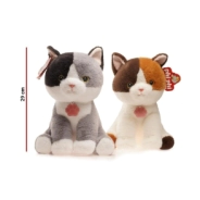 PELUCHE GATO SURTIDO PHI PHI TOYS