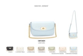 CARTERA DAVID JONES