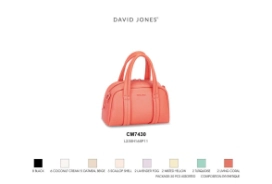 CARTERA DAVID JONES