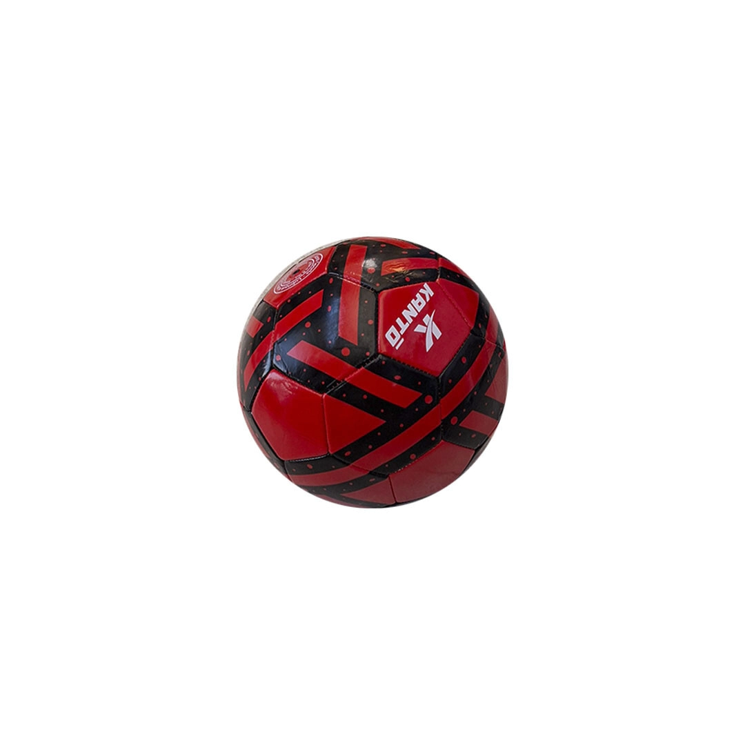 PELOTA DE FUTBOL N5 PLAYER