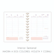 AGENDA N°8 SEMANAL TAPA SEMI RIG. FANTASIA ESPIRAL NORPAC