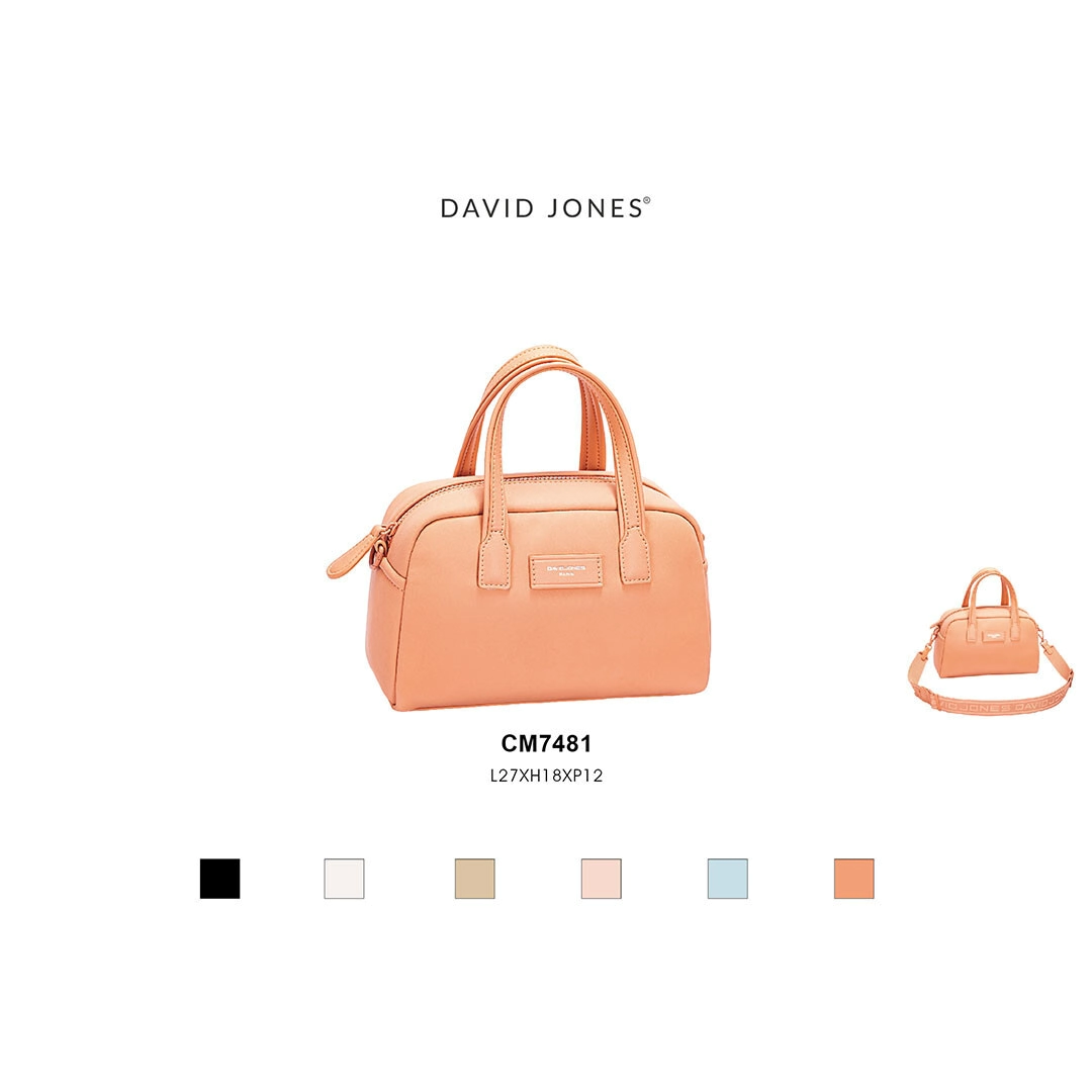 CARTERA DAVID JONES