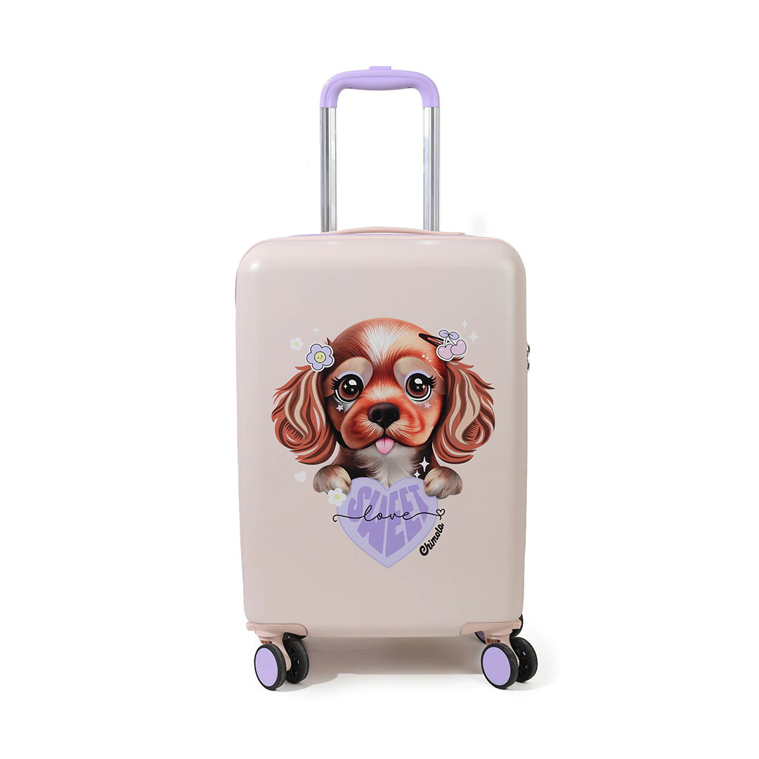 VALIJA CARRY ON 20