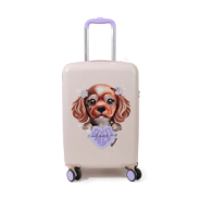VALIJA CARRY ON 20