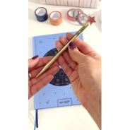 BOLIGRAFO IBICRAFT ESTRELLA X2 EN ESTUCHE