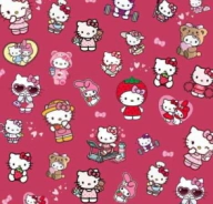 PAPEL PARA FORRAR HELLO KITTY (SOLO X 10 UNIDADES)
