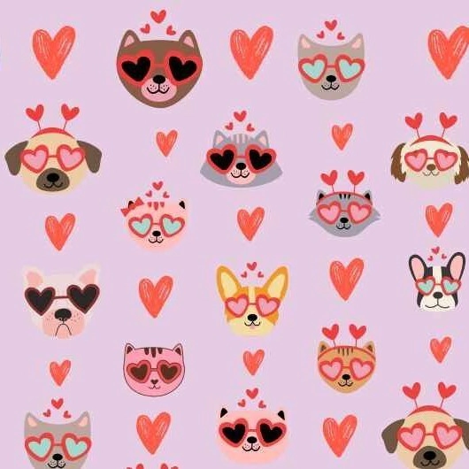 PAPEL PARA FORRAR PETS (SOLO X 10 UNIDADES)