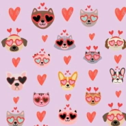 PAPEL PARA FORRAR PETS (SOLO X 10 UNIDADES)