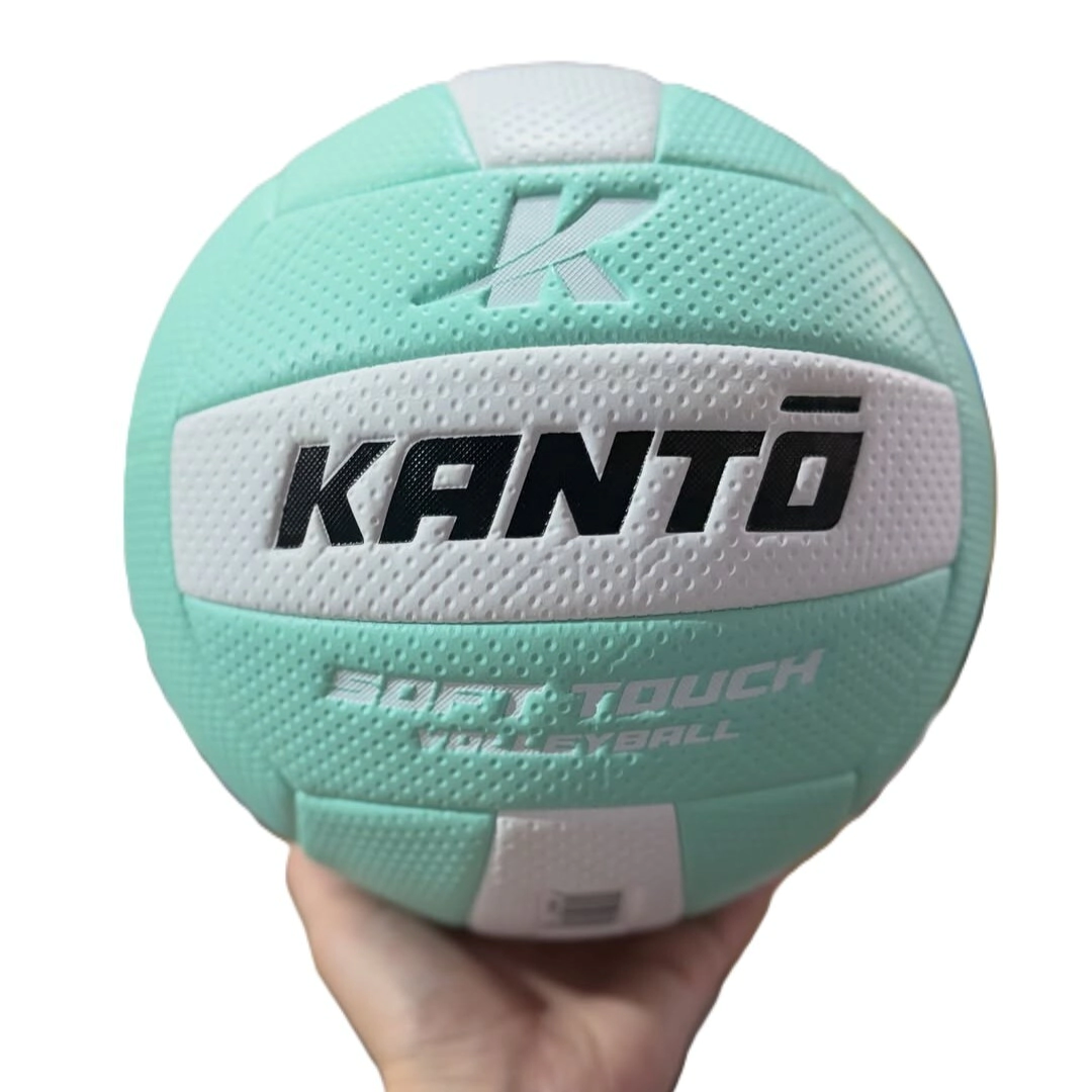 PELOTA DE VOLLEY N�5