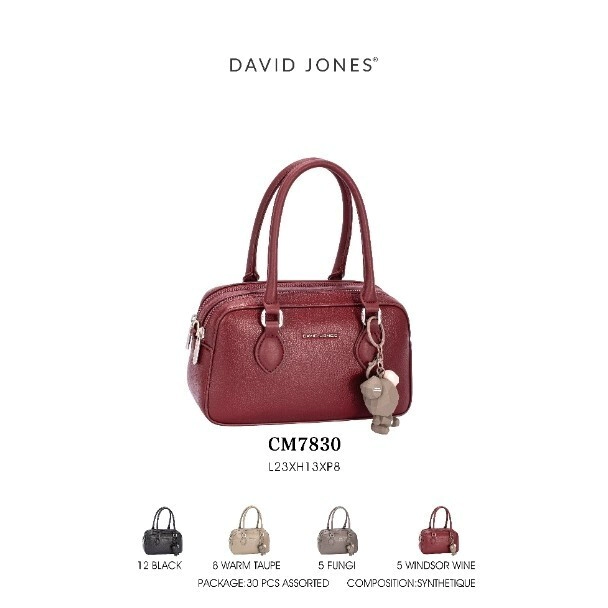 CARTERA DAVID JONES