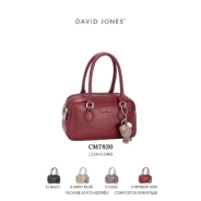 CARTERA DAVID JONES