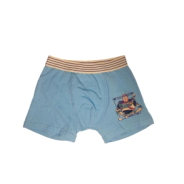 SET X2 BOXERS TALLE 1 TOYS STORY