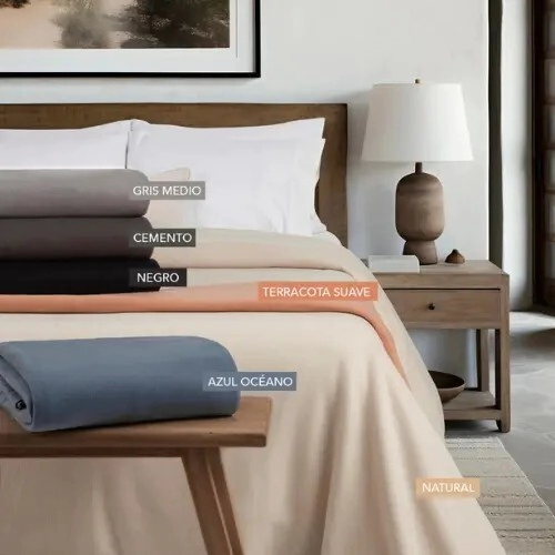 ALCOYANA FRAZADA CRONOS POLAR LISA 2 1/2 PLAZAS SURTIDO