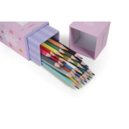 SET DE LAPICES DE COLORES BORRABLES X24 CAT CHIMOLA