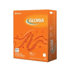 Rto Gloria N3 Ray 480 Hjs