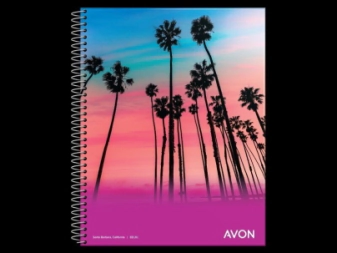 Cuad AVON 22x29 Ray 84 Hjs